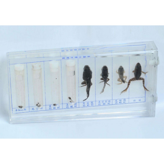 43053�ܰl(f��)������(bi��o)��