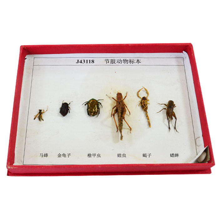 43118��(ji��)֫��(d��ng)���(bi��o)��