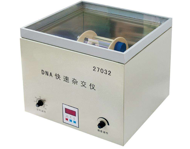 27032DNA�����s���x