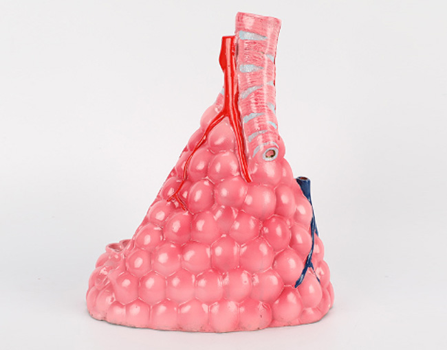 ����ģ�ͣ����z���|(zh��)��